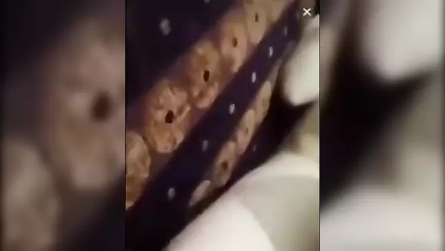 Amateur Turkish sex in a resort